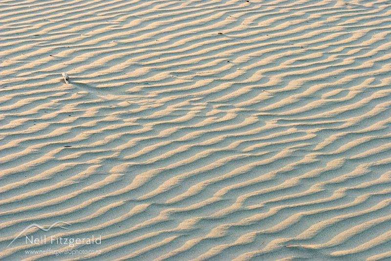 Sand-patterns_2459.jpg