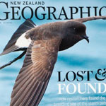 NZ Geographic - NZ storm-petrel cover
